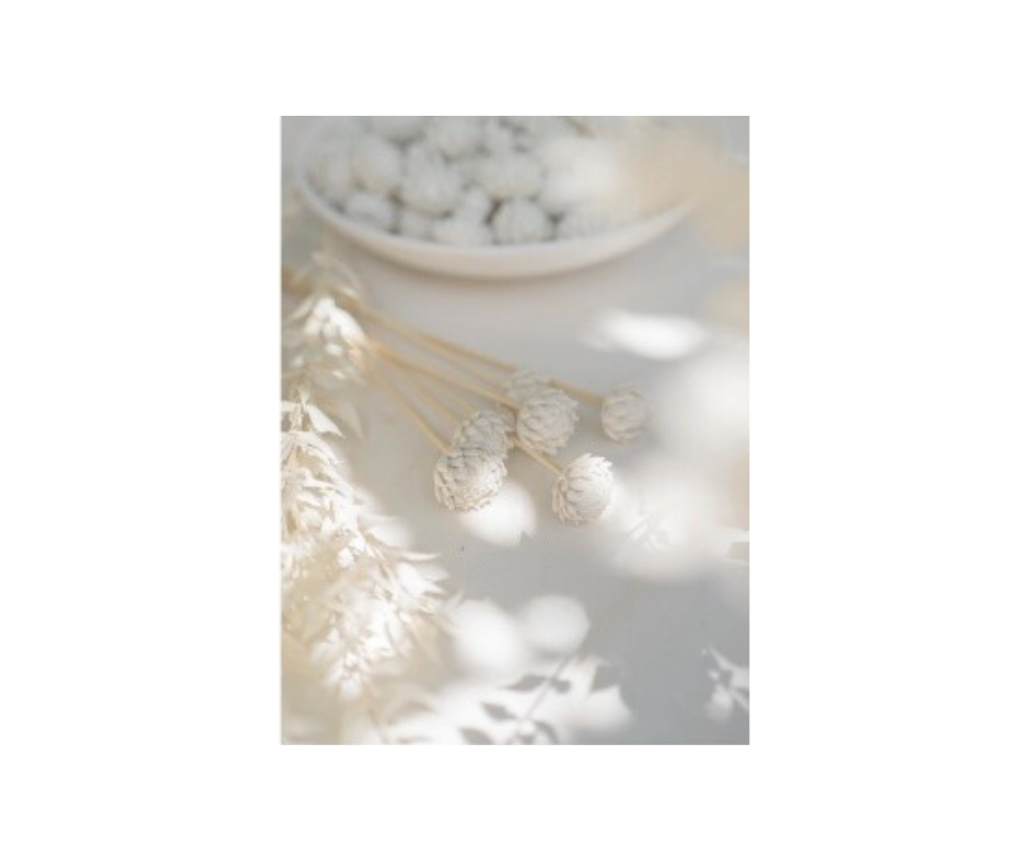 Porcelain Diffuser Sticks Nancy Designs