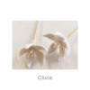 Clivia | Nancy Design