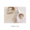 Calla Lily | Nancy Design